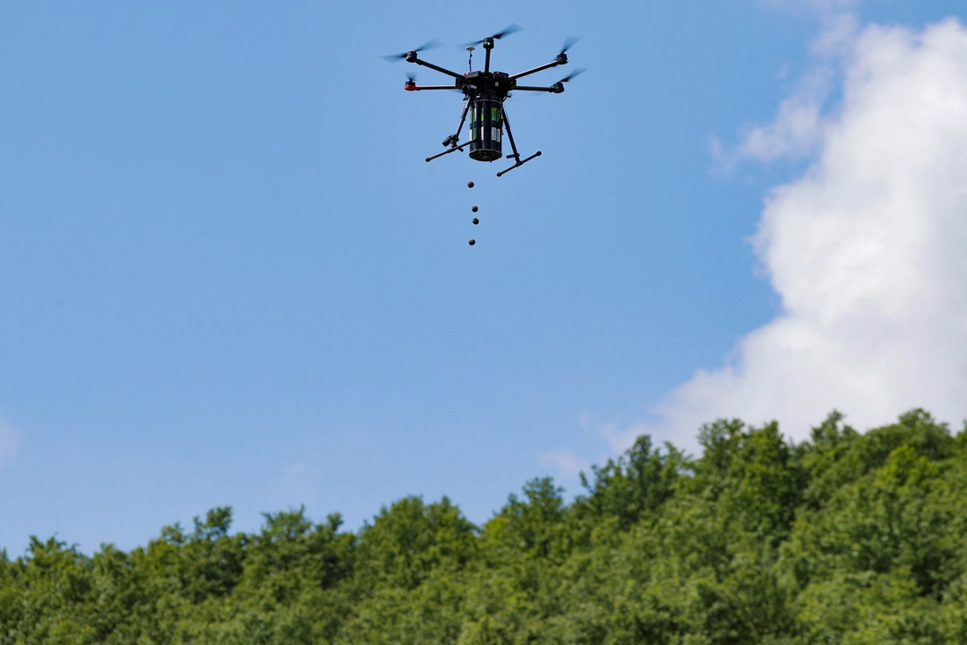 A drone drops seeds over a forested area on the first day of drone reforestation in Butovc, Kosovo May 13, 2024. REUTERS/Valdrin Xhemaj