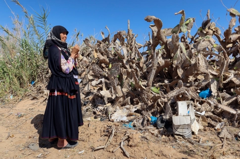 TUNISIA-INSECT:Insect wreaks havoc on Tunisia’s crucial prickly pear industry