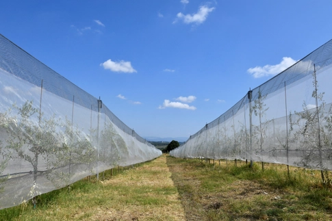 CLIMATE-CHANGE-ITALY-AGRICULTURE:Italy's 2023 farm output hit by climate change, statistics bureau says